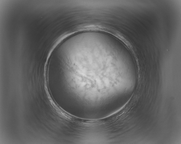 X0000057041392200509120809