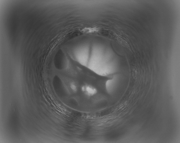 X0000057041393200509120808