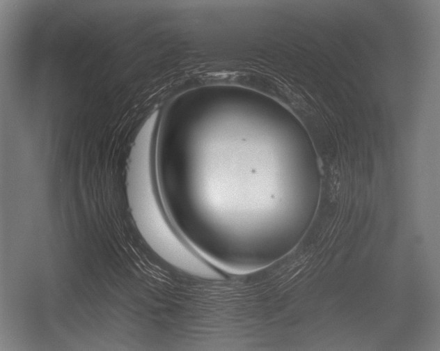 X0000057041394200509120808