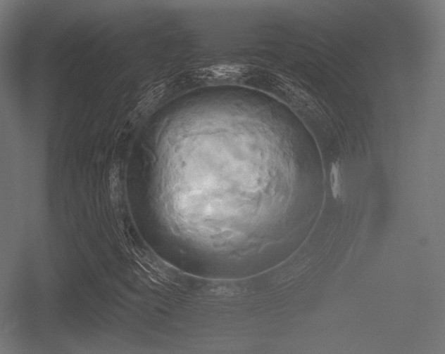 X0000057041395200509120808
