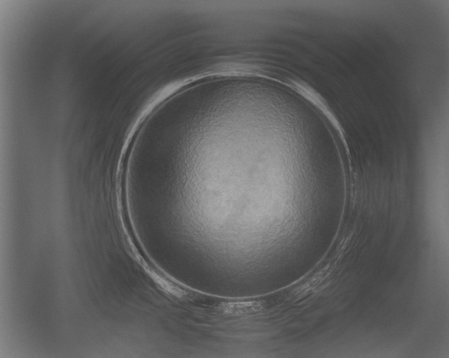 X0000057041437200509120808