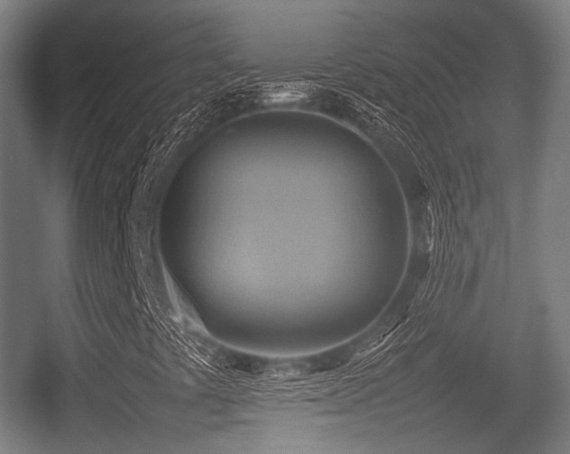 X0000057041441200509120808