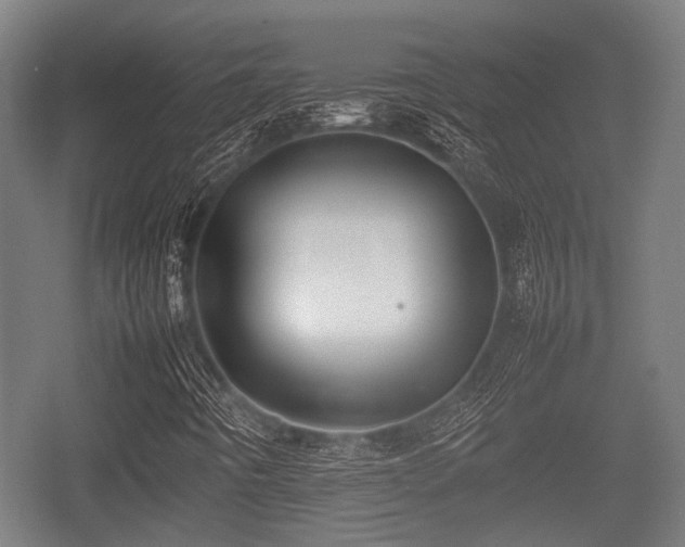 X0000057041442200509120808