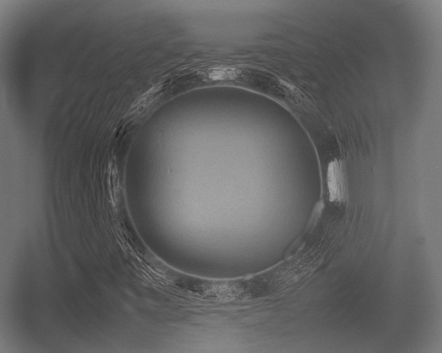 X0000057041443200509120808