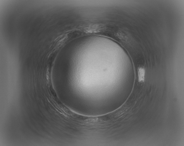X0000057041444200509120808