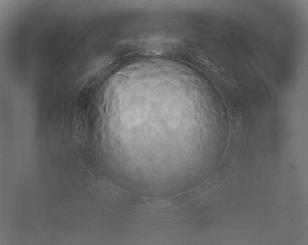 X0000057041446200509120808