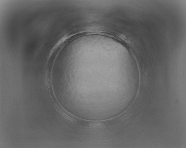 X0000057041454200509120808