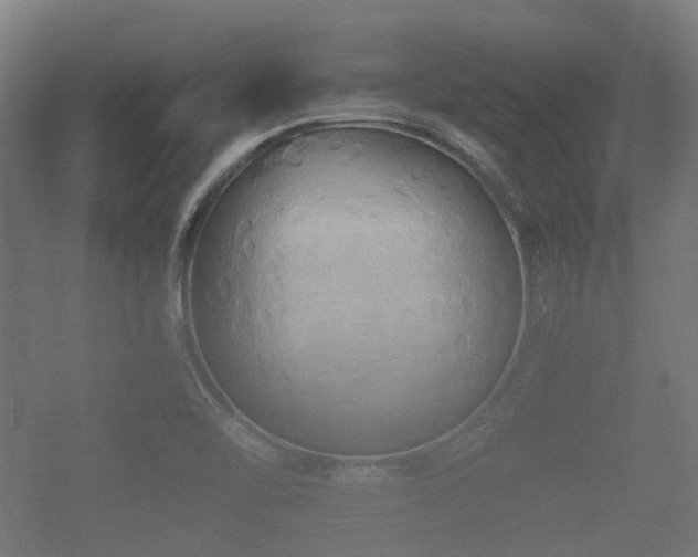 X0000057041462200509120807