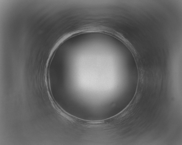 X0000057041486200509120807