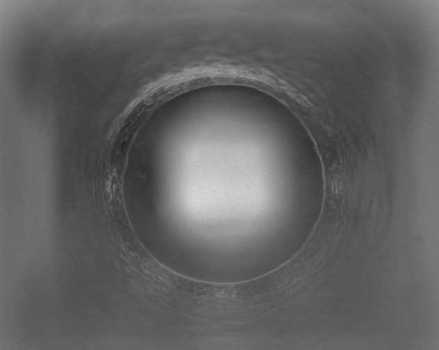 X0000057041495200509120806
