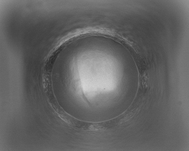 X0000057041496200509120806