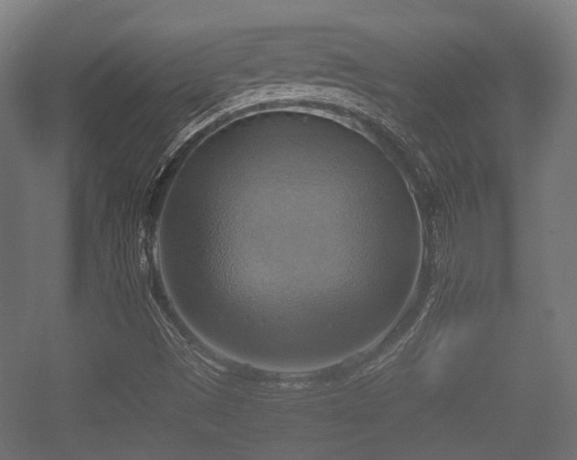 X0000057041497200509120806
