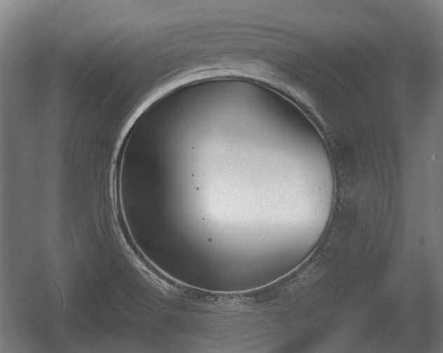 X0000057041516200509120807