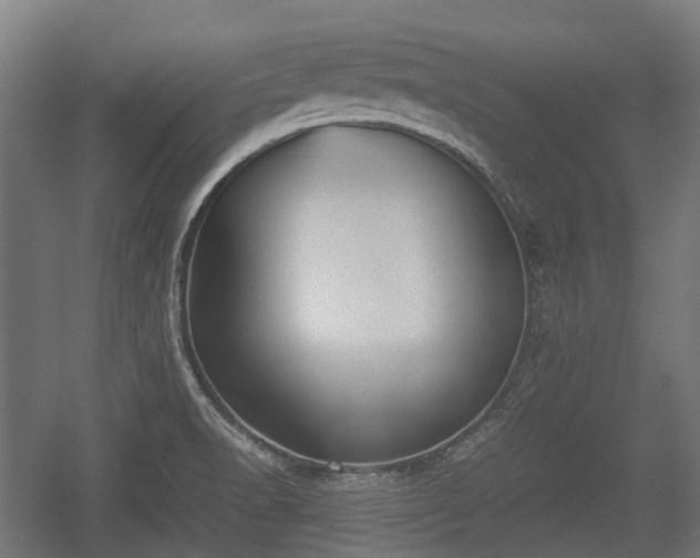 X0000057041518200509120807