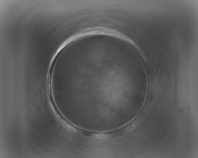 X0000057041522200509120807