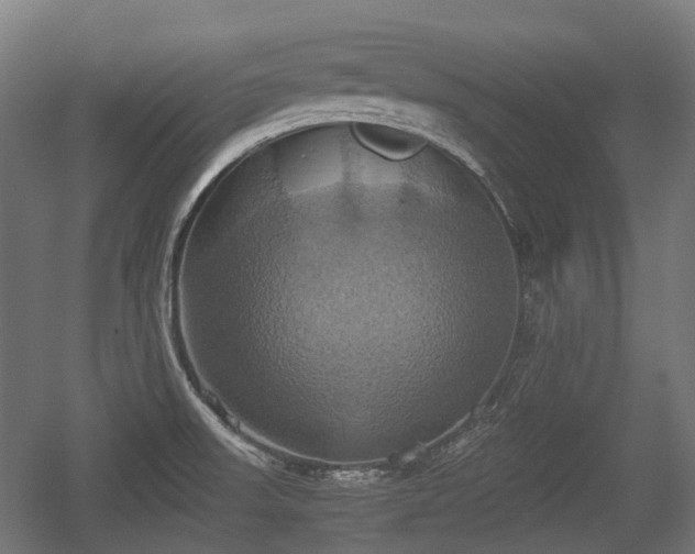 X0000057041523200509120807