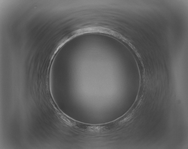 X0000057041529200509120807