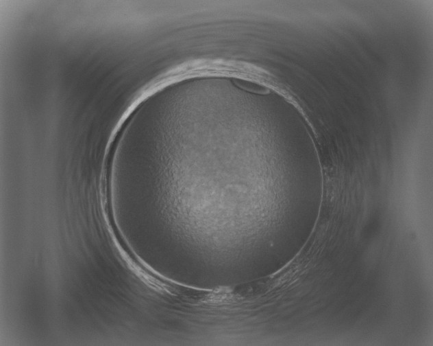 X0000057041531200509120807