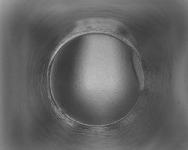 X0000057041532200509120807