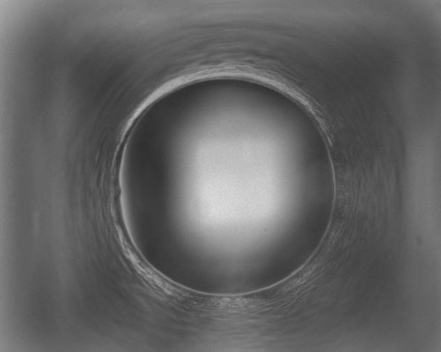 X0000057041534200509120807