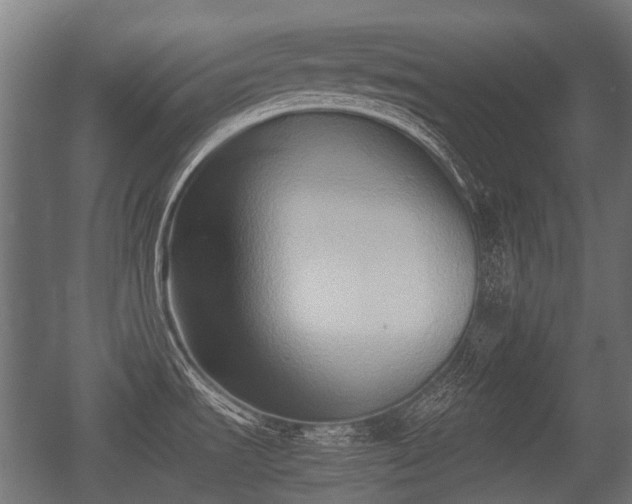 X0000057041535200509120807