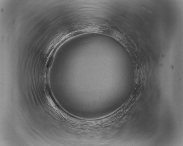 X0000057040002200509161451