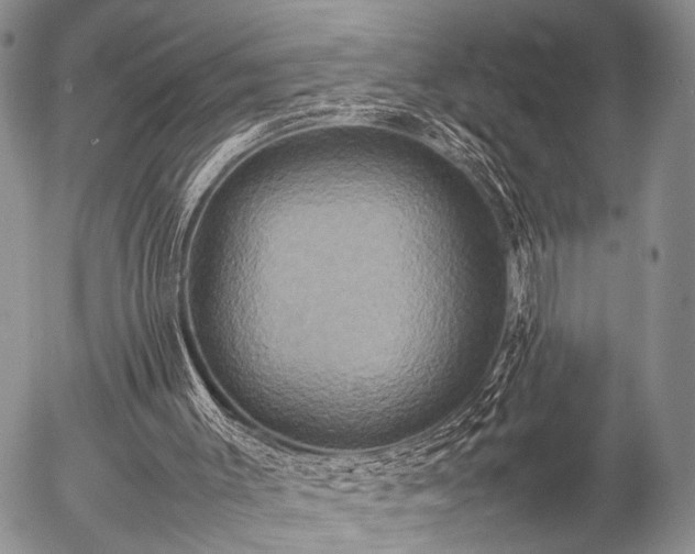 X0000057040003200509161451