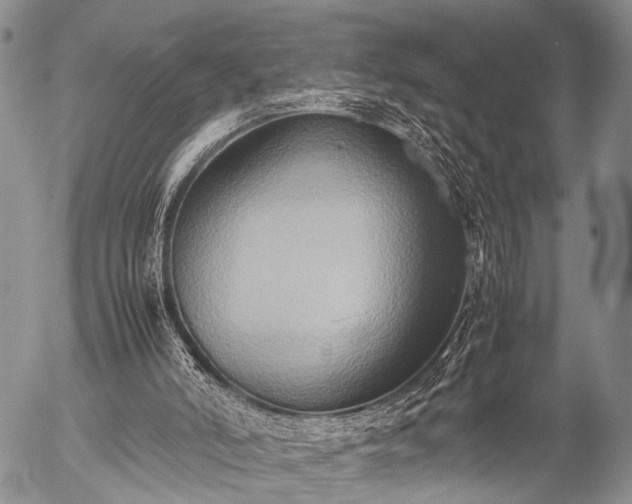 X0000057040006200509161451