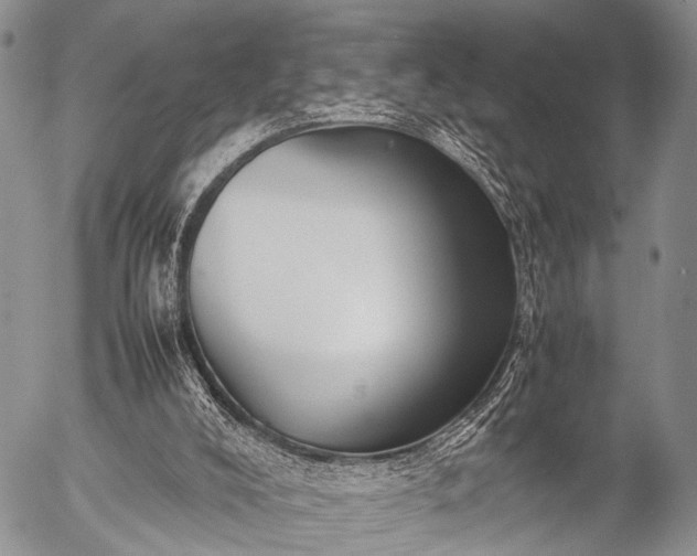 X0000057040008200509161451