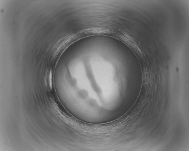 X0000057040014200509161451