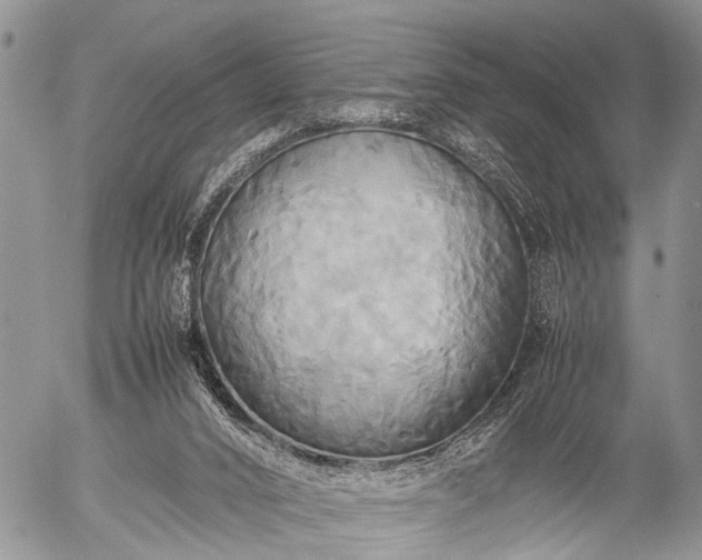 X0000057040016200509161450