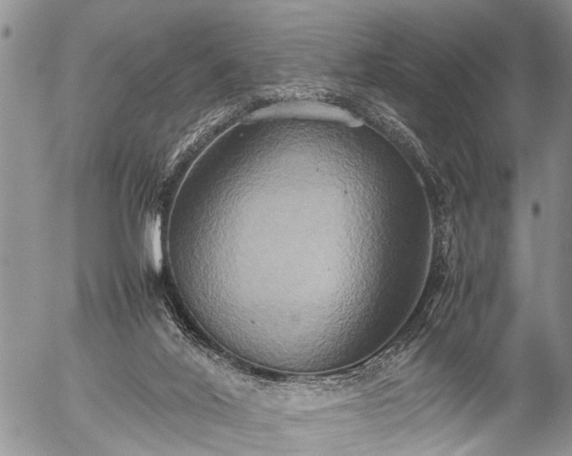 X0000057040020200509161450