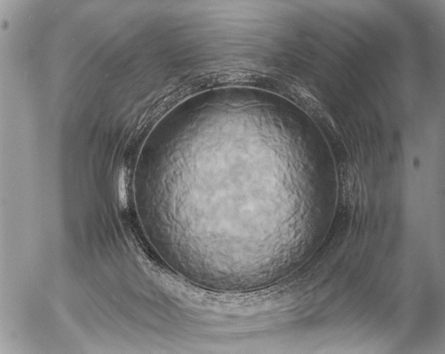 X0000057040026200509161450