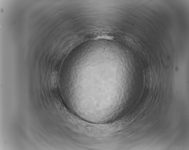 X0000057040034200509161450