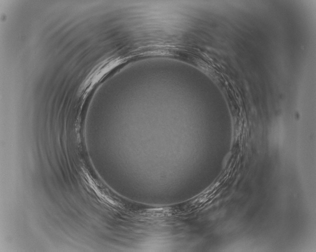 X0000057040050200509161449