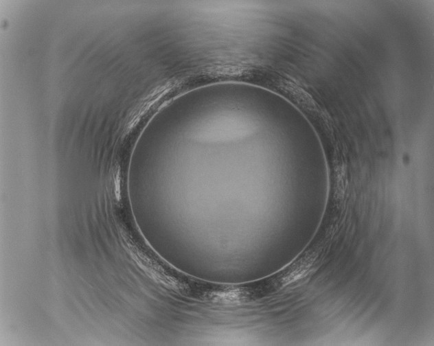 X0000057040068200509161450