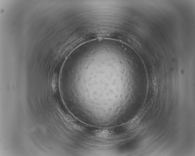X0000057040074200509161450