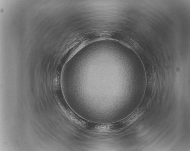 X0000057040084200509161450