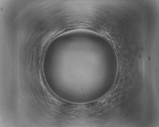 X0000057040097200509161449