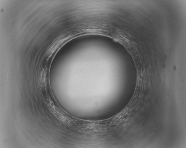 X0000057040098200509161449