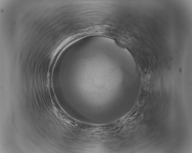 X0000057040100200509161449