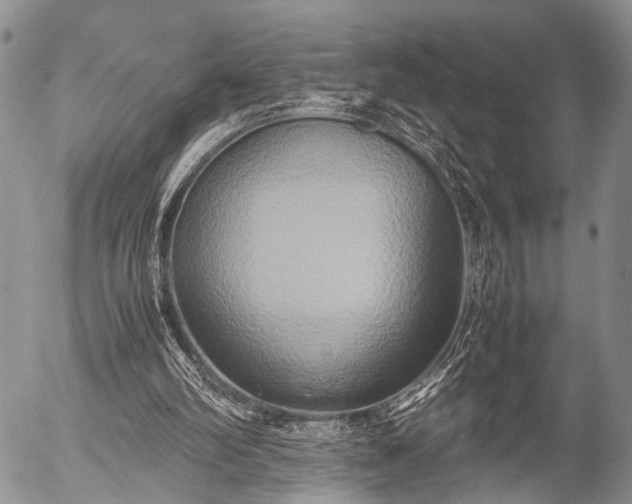 X0000057040102200509161449