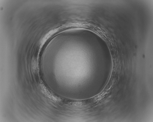 X0000057040104200509161449