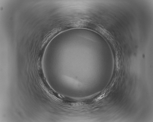 X0000057040105200509161449