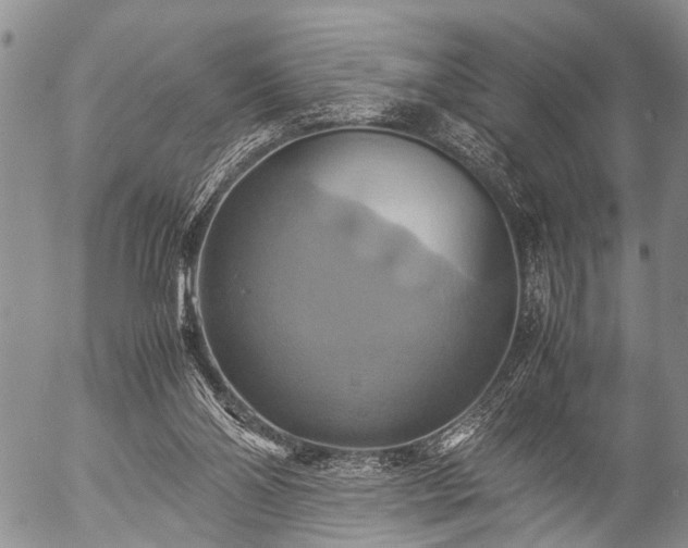 X0000057040110200509161449