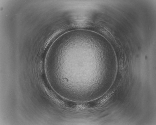 X0000057040111200509161449