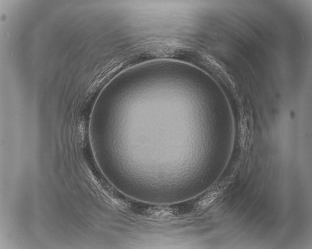 X0000057040113200509161449