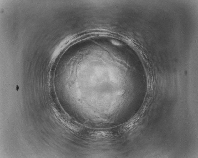 X0000057040151200509161448