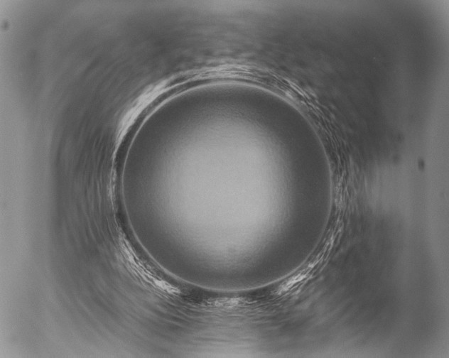 X0000057040152200509161448