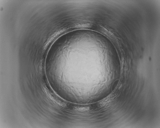 X0000057040155200509161448